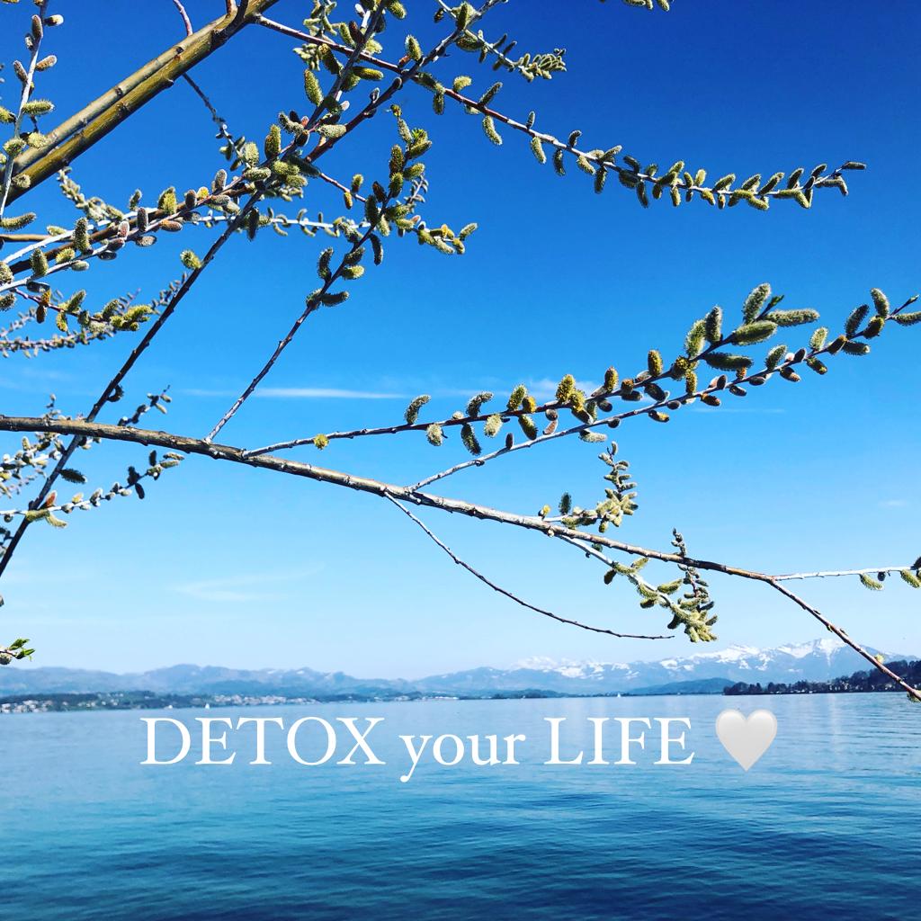 «Detox your Life»
